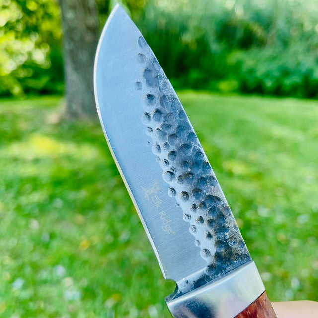 Close-up of fixed blade knife with etched fish scale pattern on blade surface, wooden handle, and leather sheath visible against outdoor garden background.