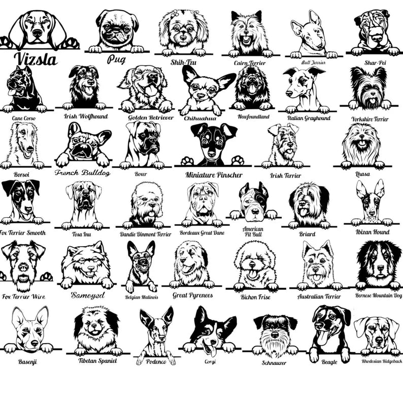 Grid display of 42 dog breed illustrations labeled with names including Vizsla, Pug, Shih Tzu, Cairn Terrier, Chihuahua, and Golden Retriever, shown in black and white line art style