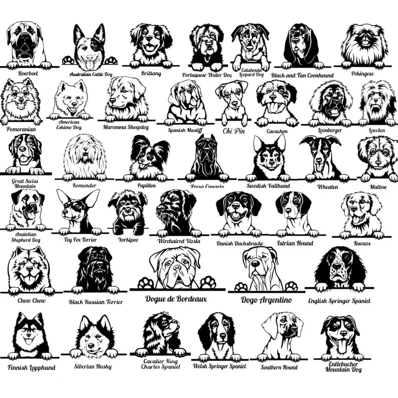 Black and white line-art illustration showing 42 different dog breed portraits arranged in a grid, each labeled with breed name below.